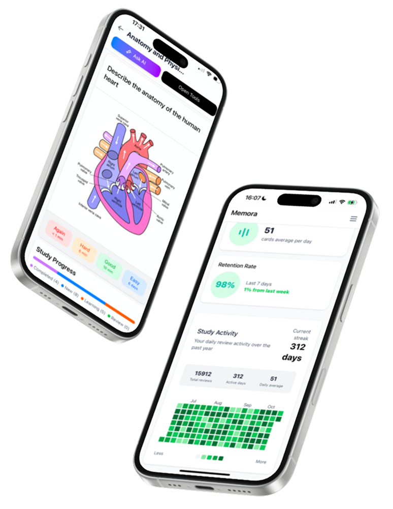 Memora AI study app screenshot